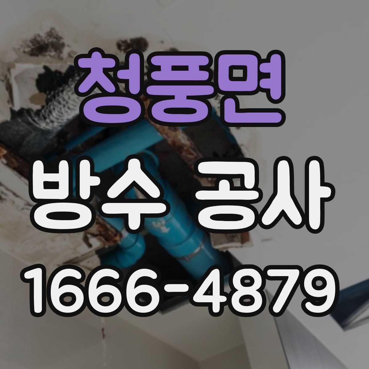 청풍면 방수 공사