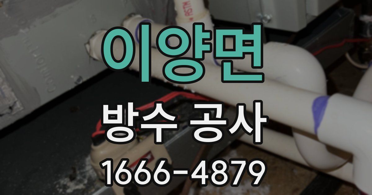 이양면 방수 공사