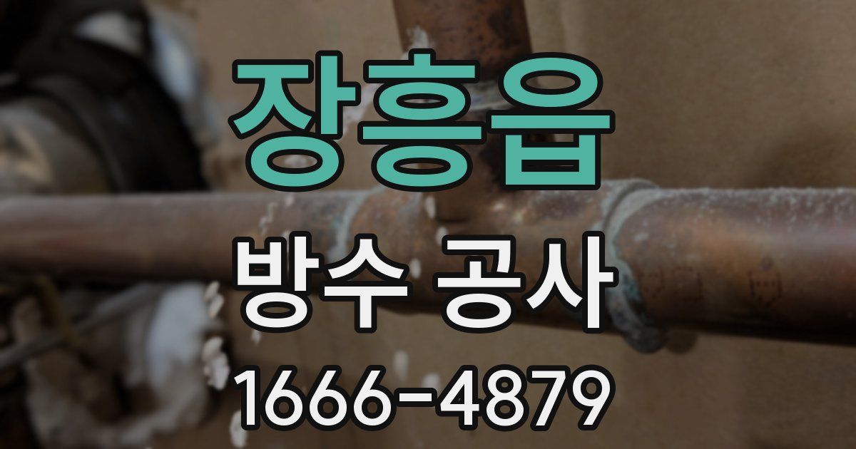 장흥읍 방수 공사