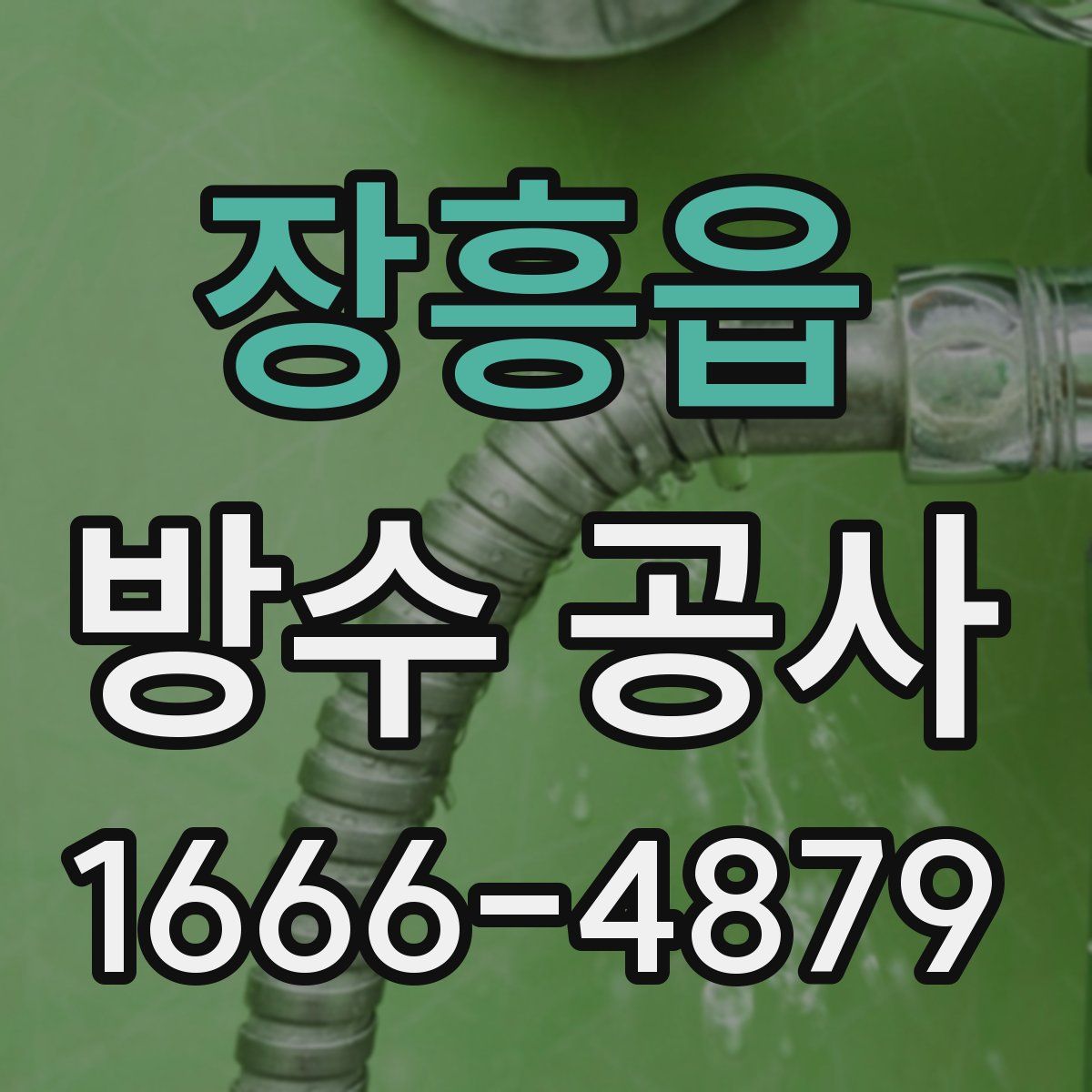 장흥읍 방수 공사