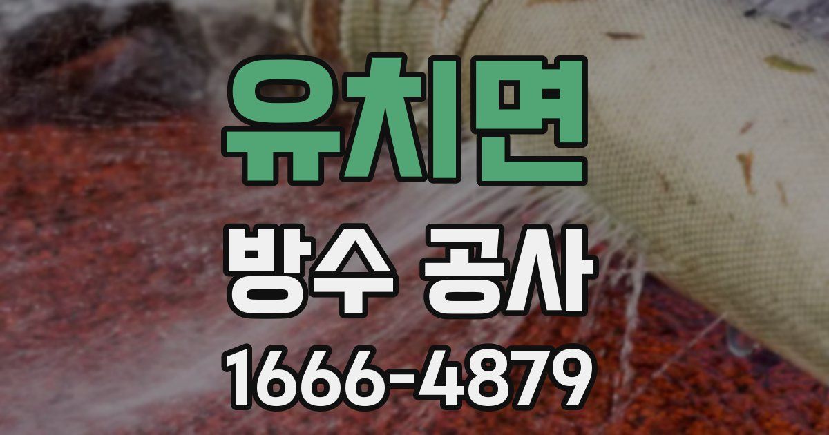 유치면 방수 공사