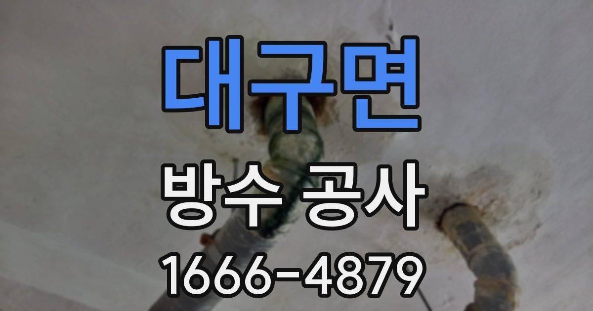 대구면 방수 공사