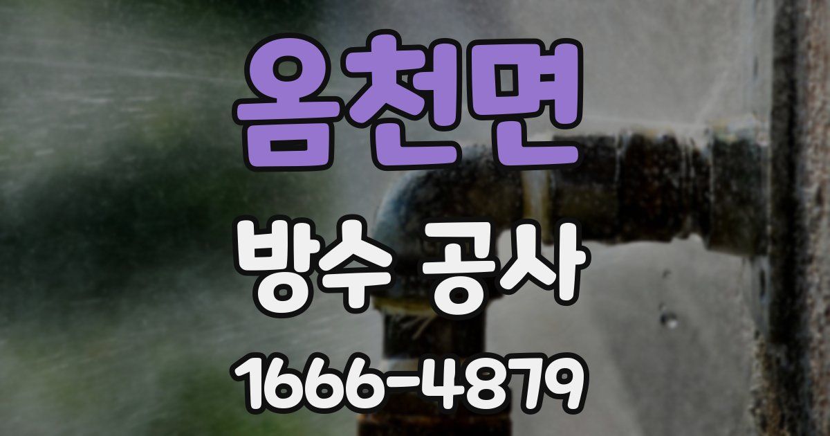 옴천면 방수 공사