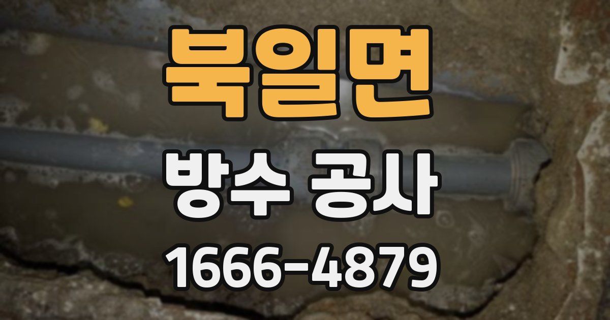 북일면 방수 공사