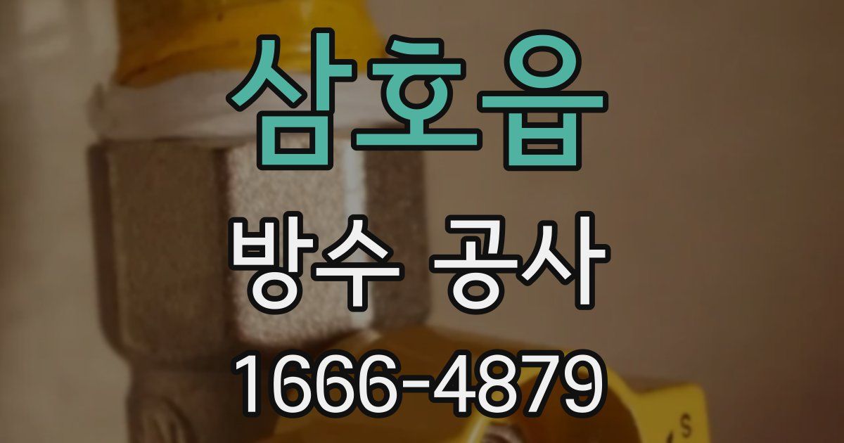 삼호읍 방수 공사