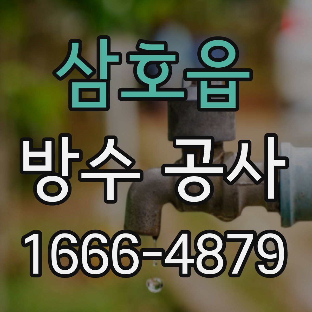 삼호읍 방수 공사