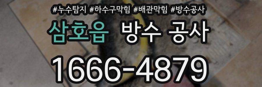 삼호읍 방수 공사