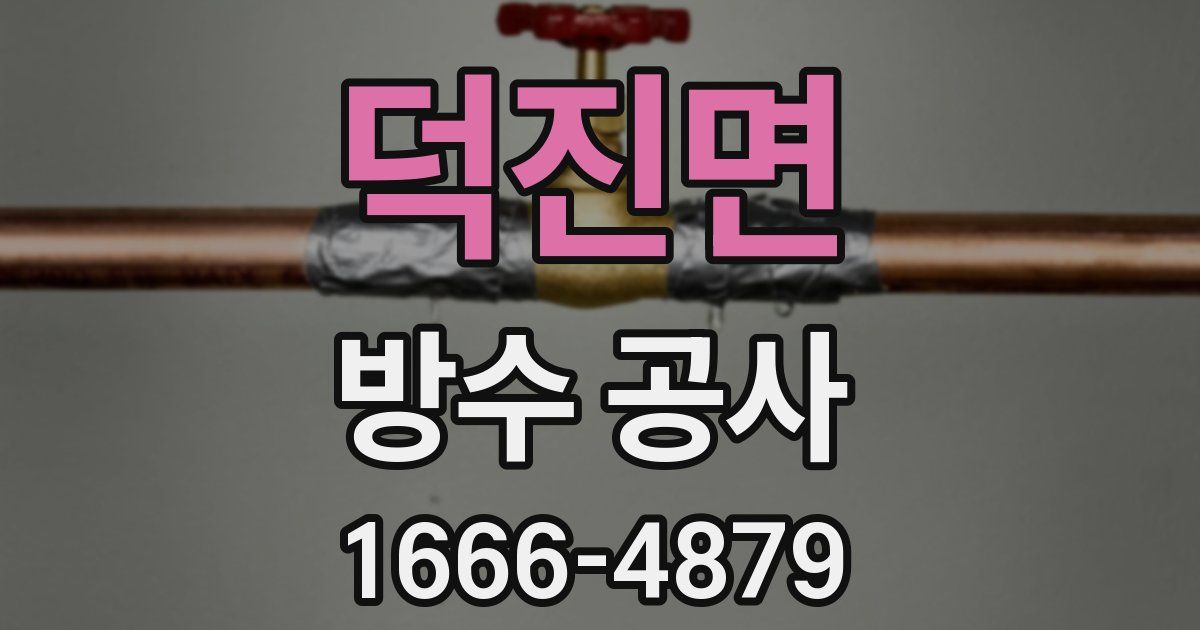덕진면 방수 공사