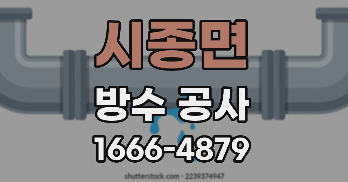 시종면 방수 공사
