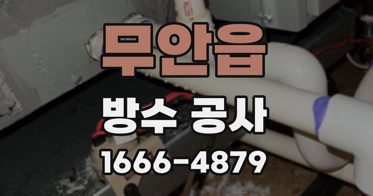 무안읍 방수 공사