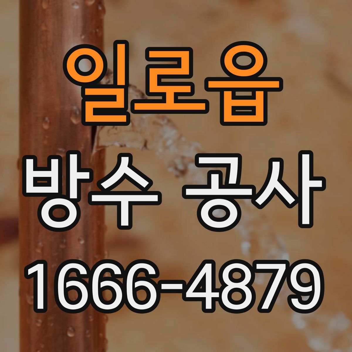 일로읍 방수 공사