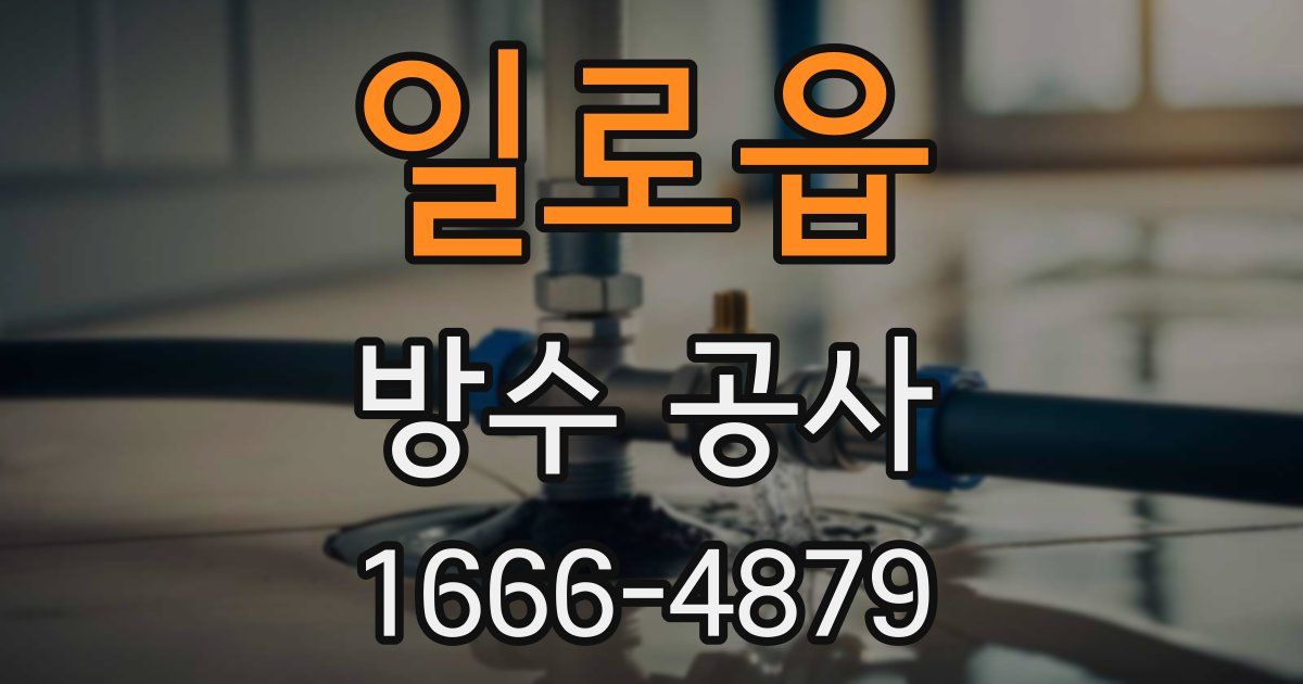 일로읍 방수 공사