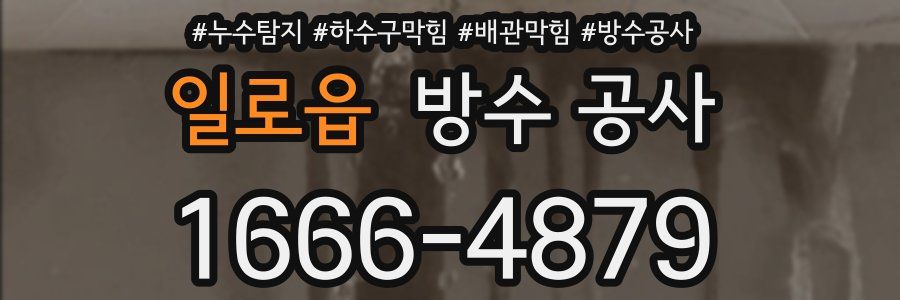 일로읍 방수 공사