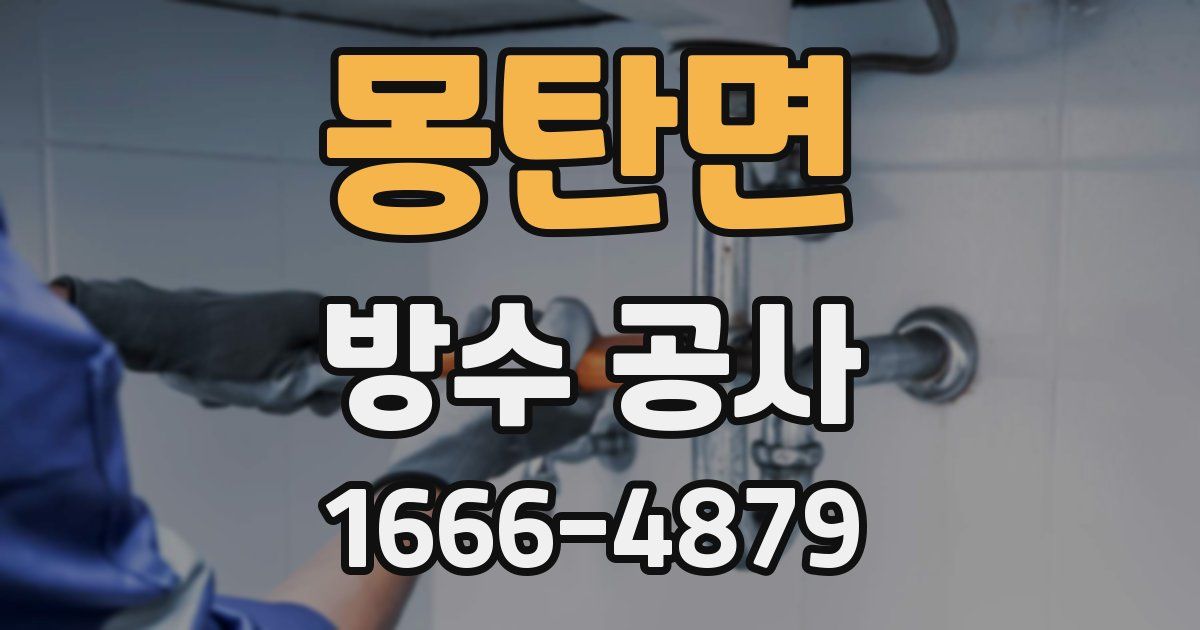 몽탄면 방수 공사