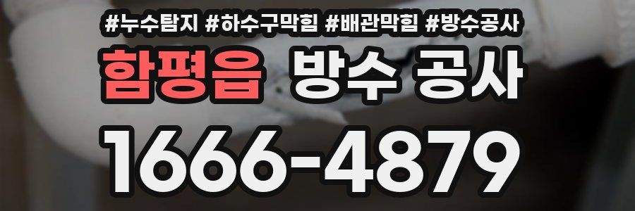 함평읍 방수 공사