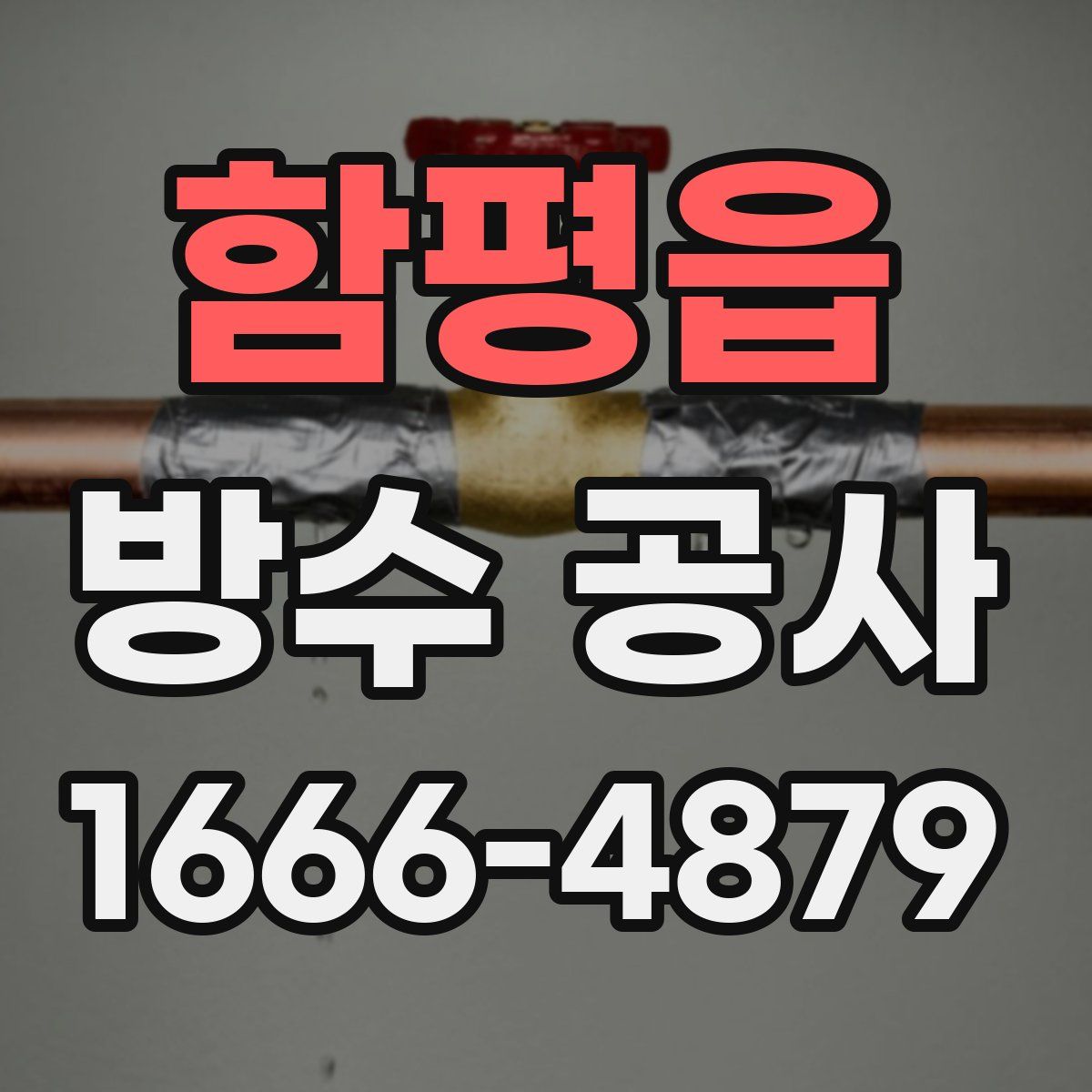 함평읍 방수 공사