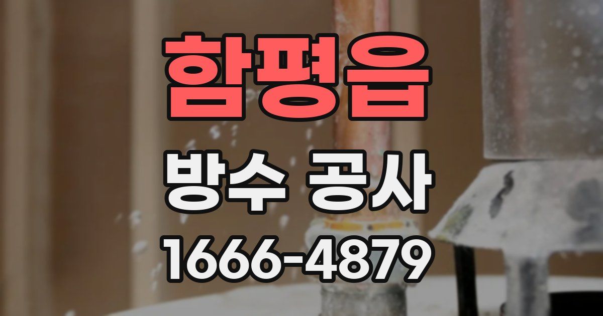 함평읍 방수 공사