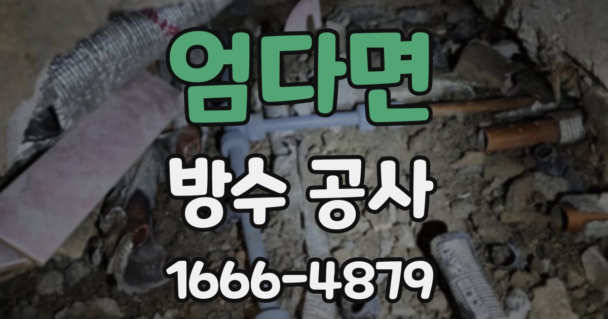엄다면 방수 공사