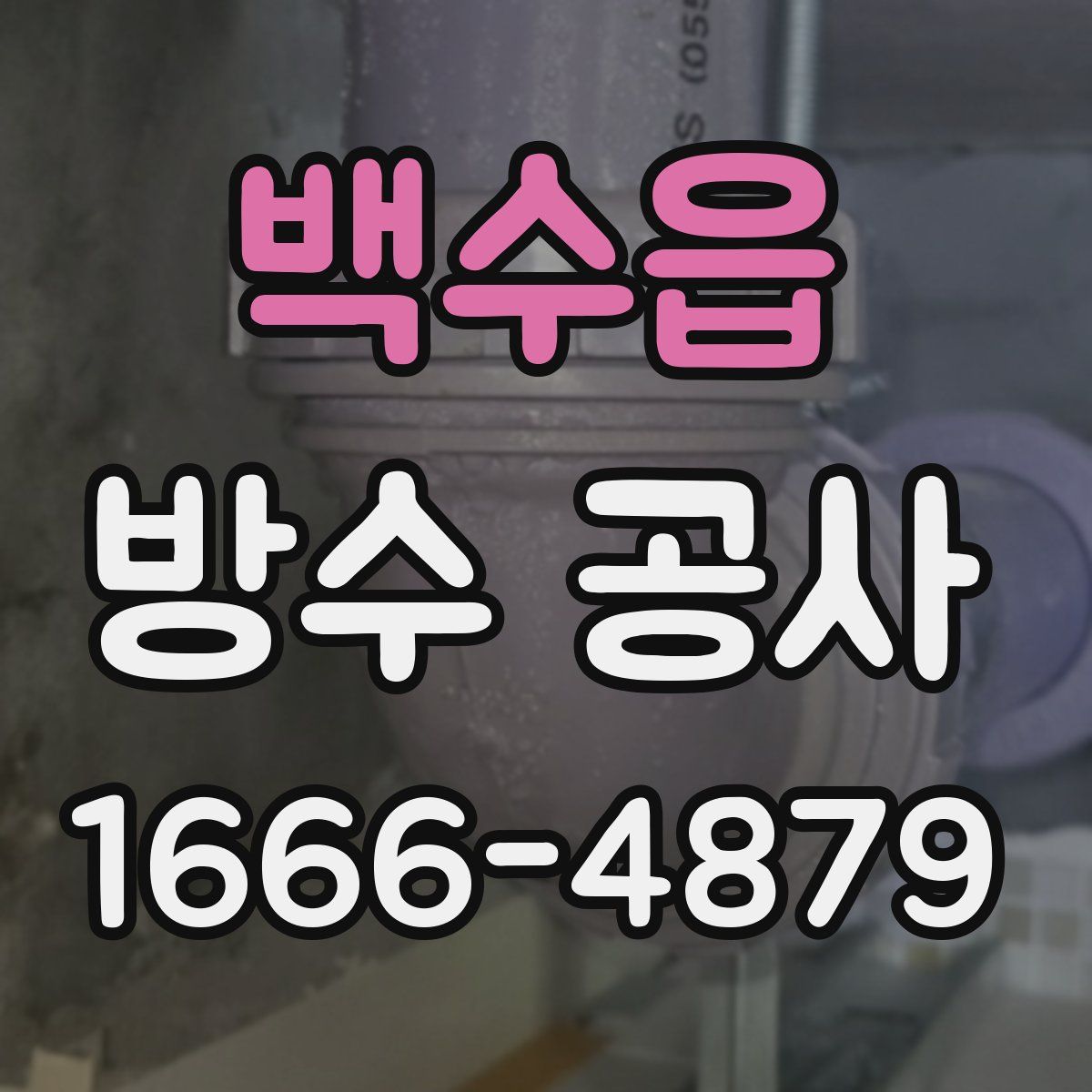 백수읍 방수 공사