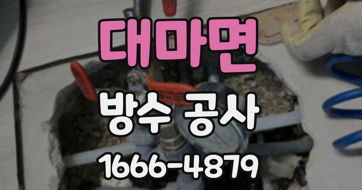 대마면 방수 공사