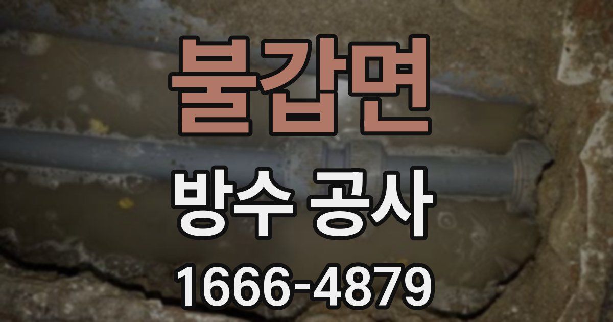 불갑면 방수 공사