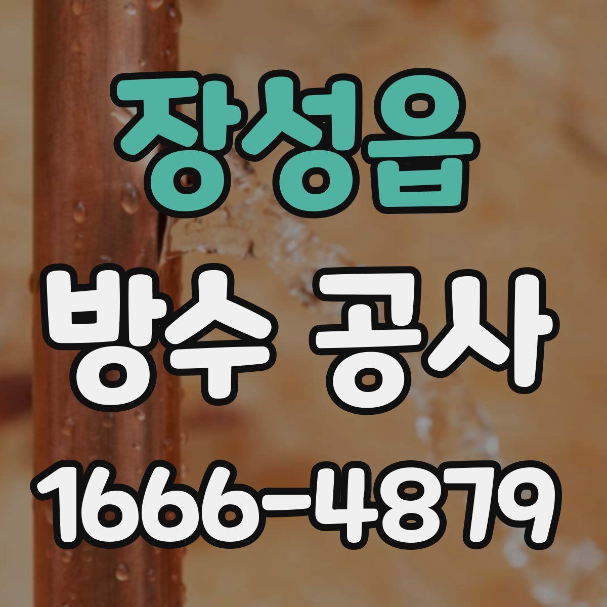 장성읍 방수 공사
