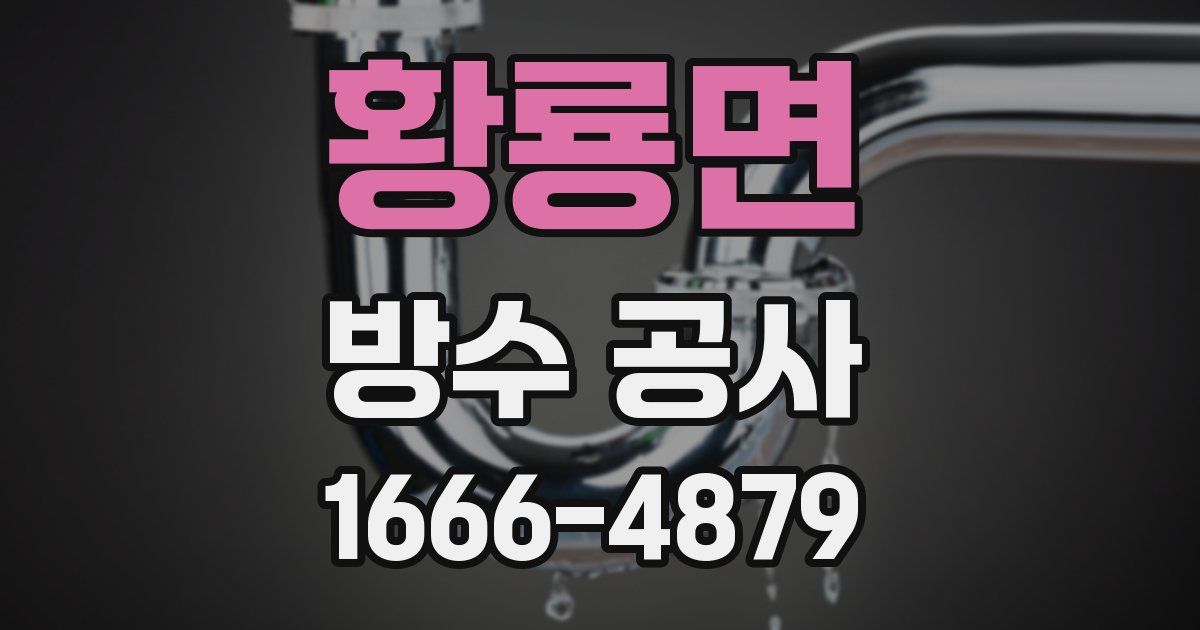 황룡면 방수 공사
