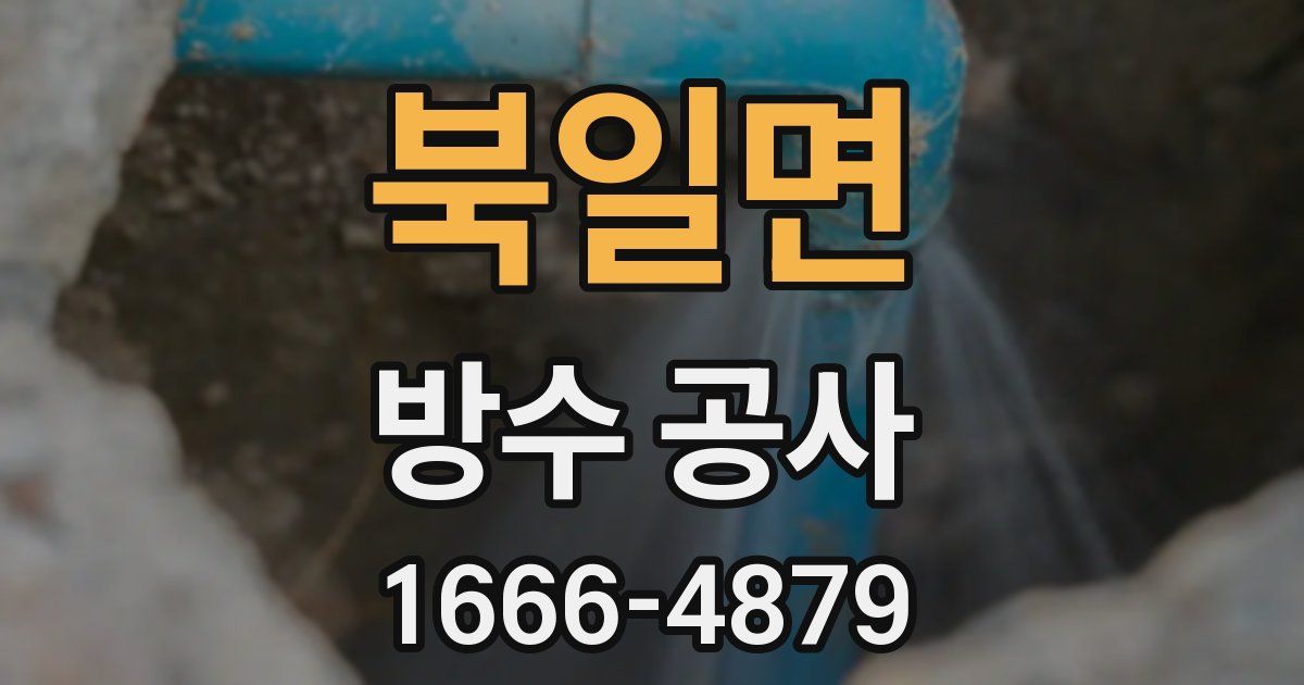 북일면 방수 공사
