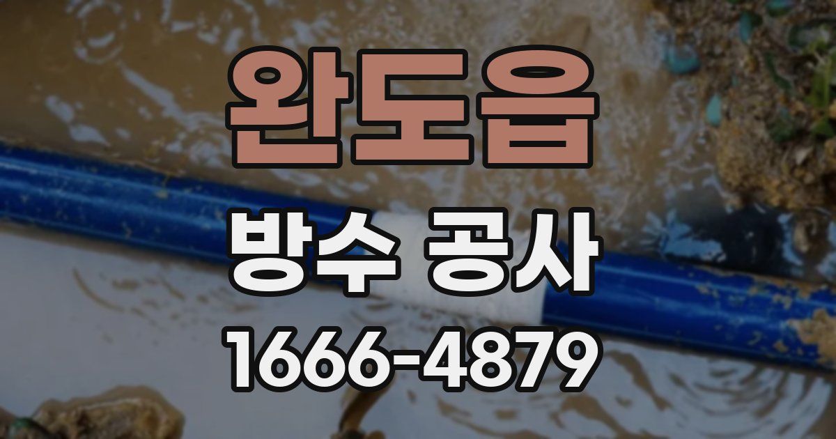 완도읍 방수 공사