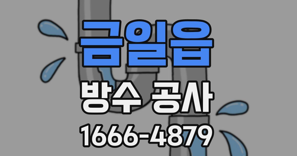 금일읍 방수 공사