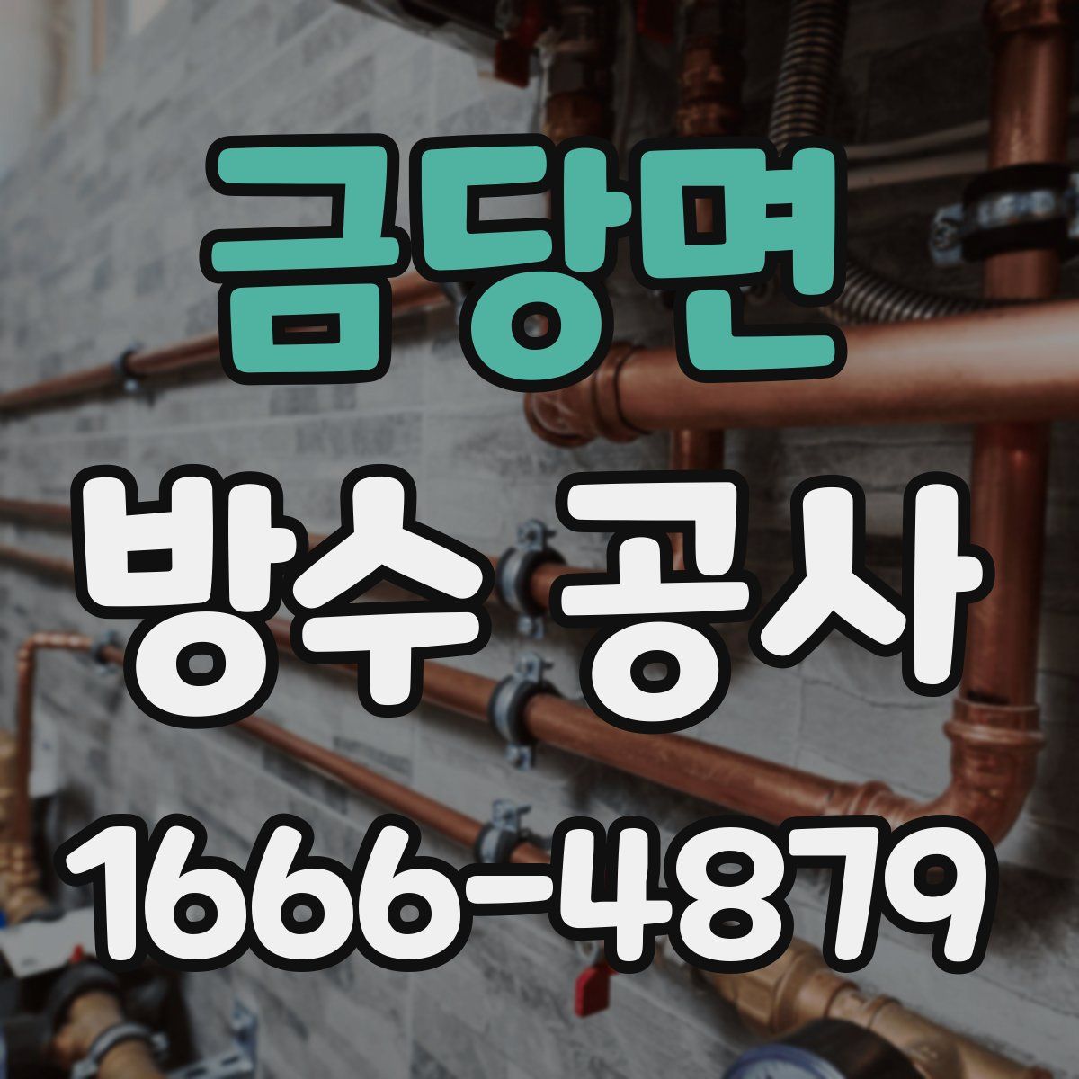 금당면 방수 공사