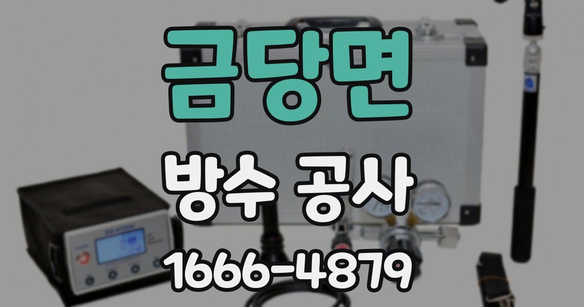 금당면 방수 공사