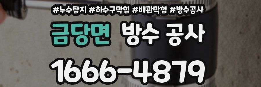 금당면 방수 공사