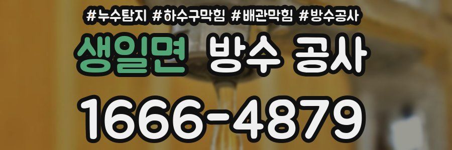 생일면 방수 공사