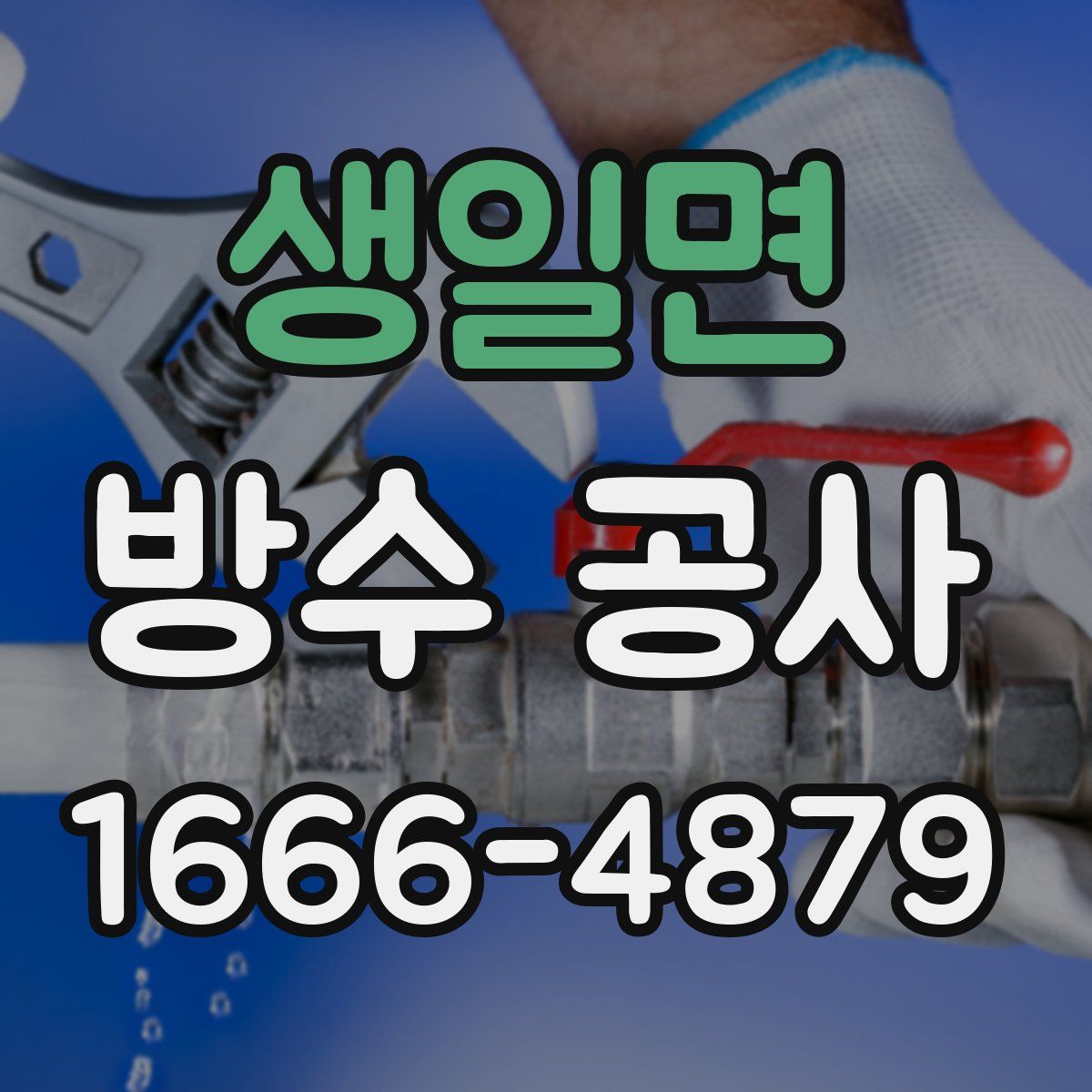 생일면 방수 공사
