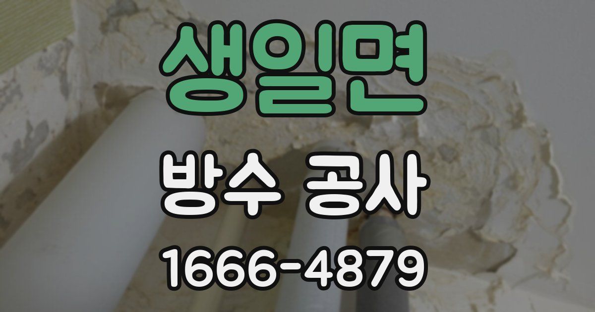 생일면 방수 공사