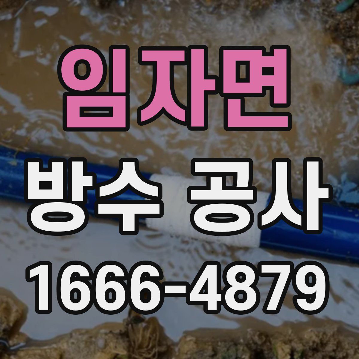 임자면 방수 공사