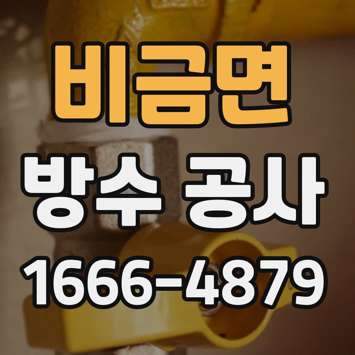 비금면 방수 공사