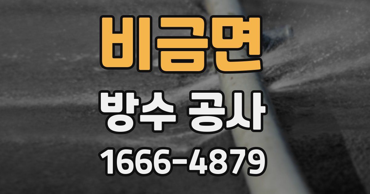 비금면 방수 공사