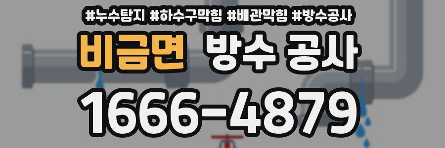 비금면 방수 공사