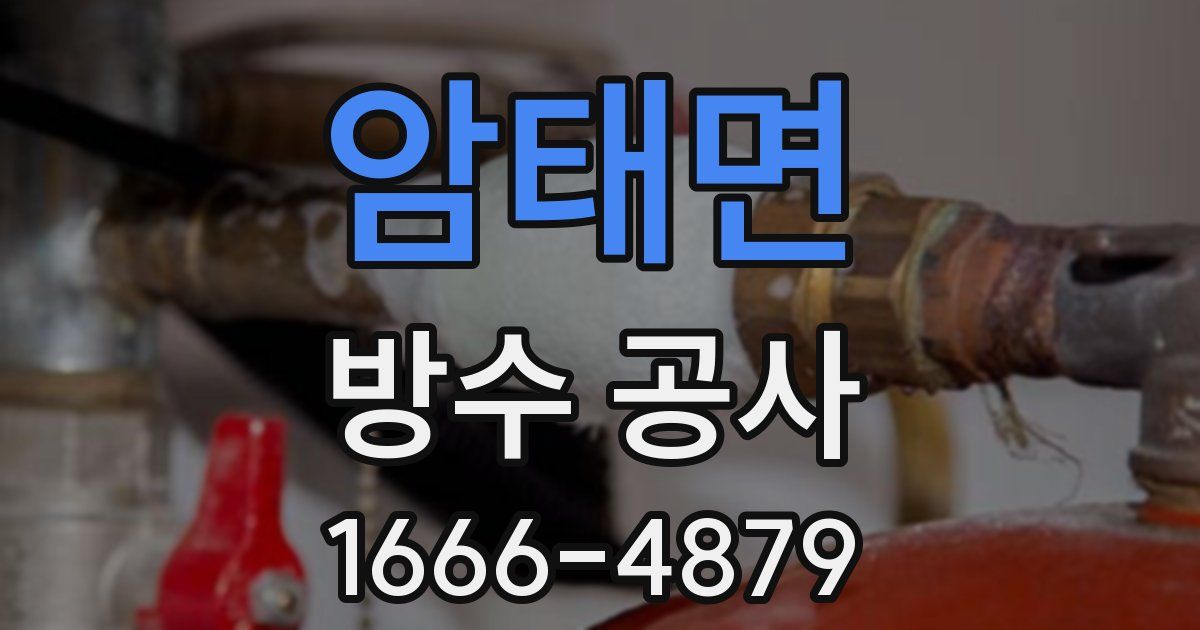 암태면 방수 공사