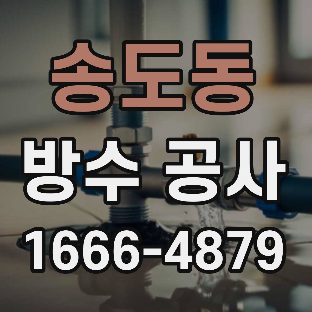 송도동 방수 공사