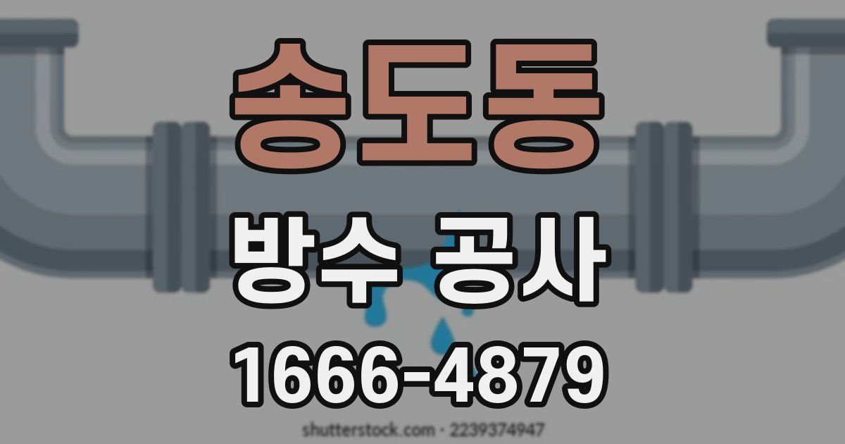 송도동 방수 공사