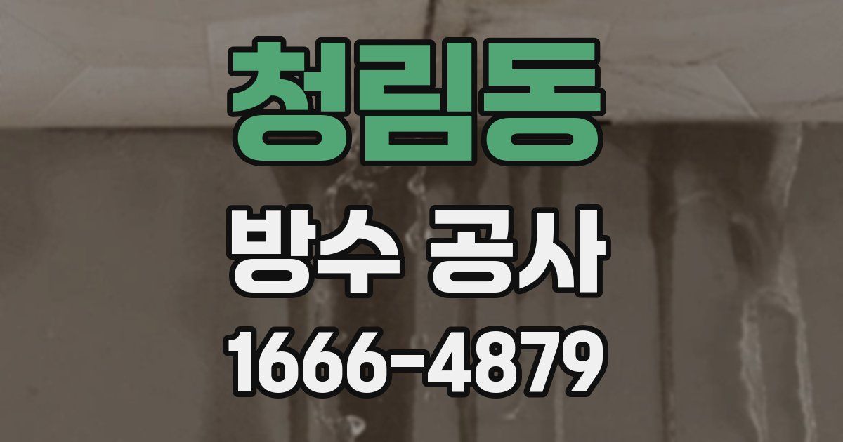 청림동 방수 공사
