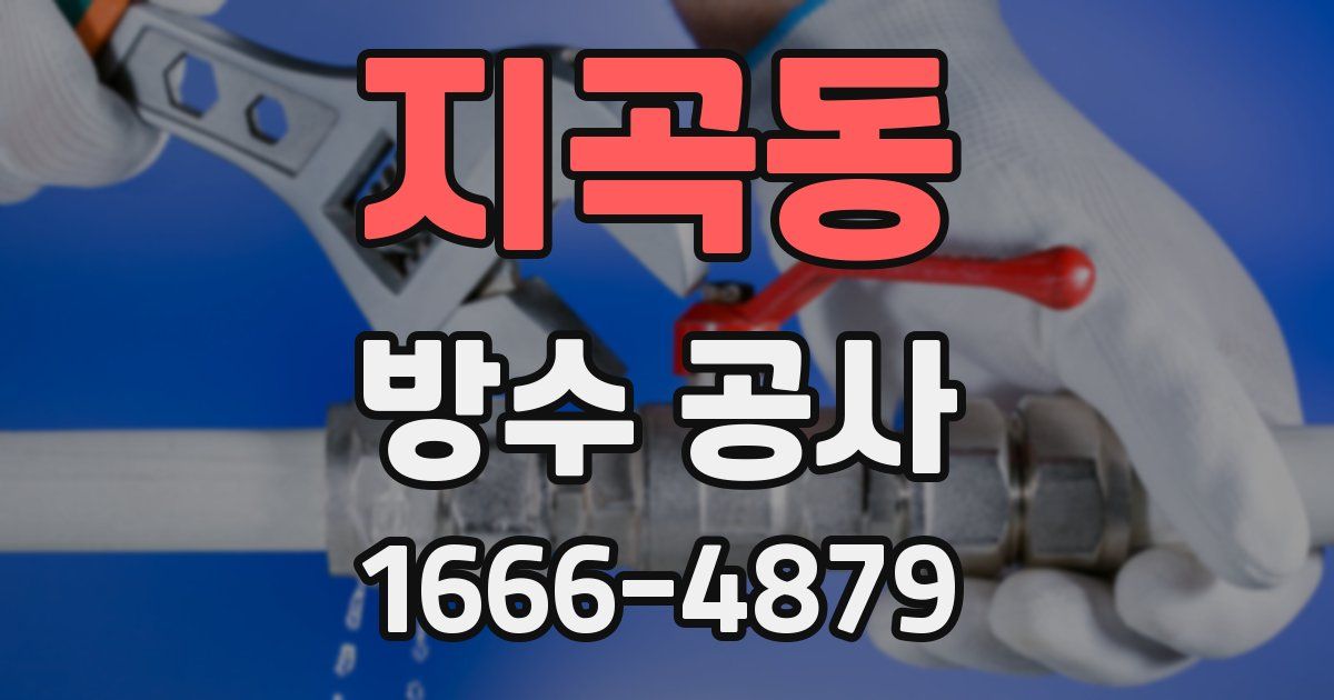 지곡동 방수 공사