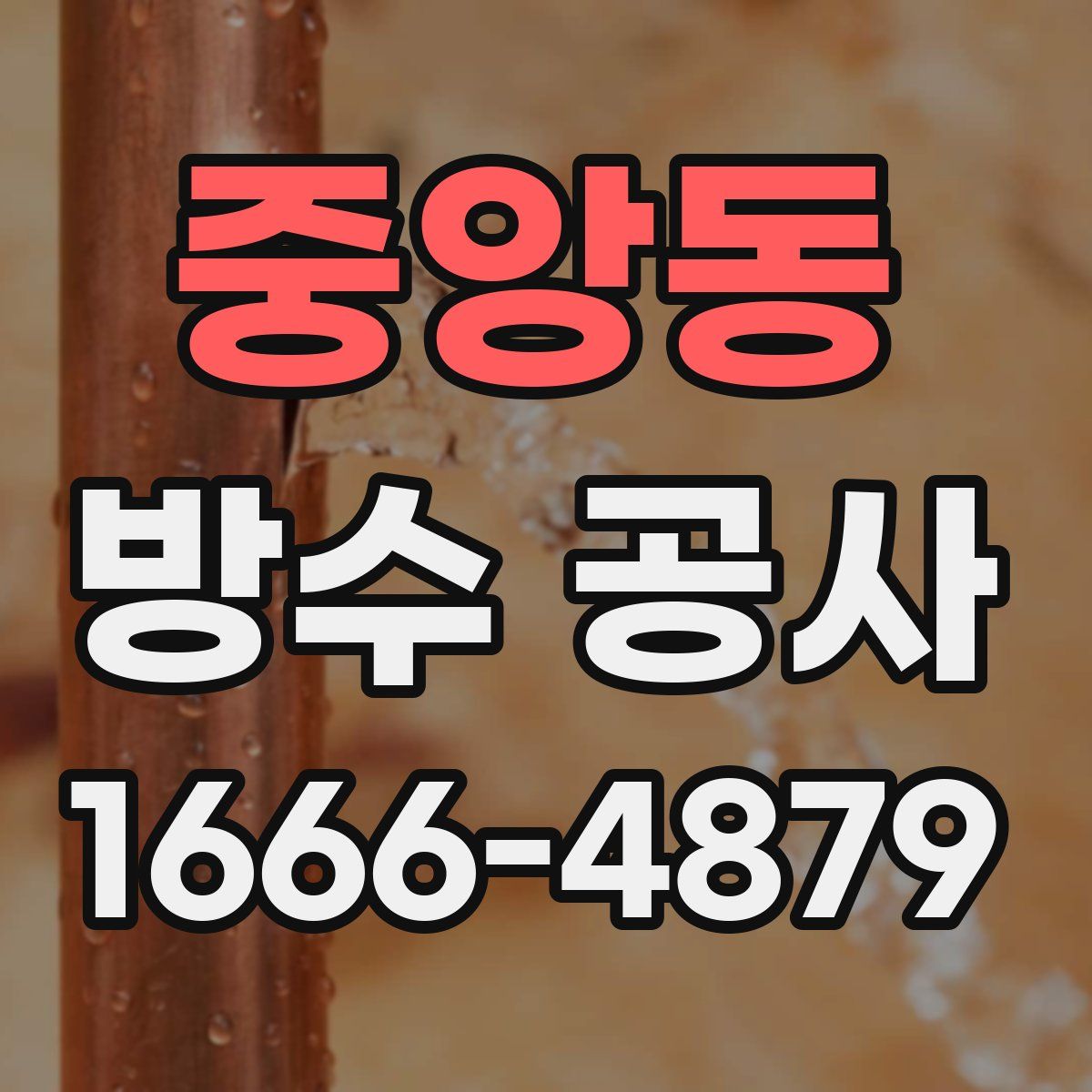 중앙동 방수 공사