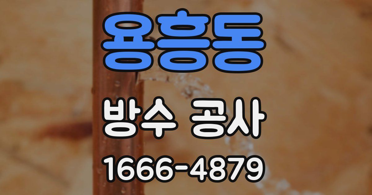 용흥동 방수 공사
