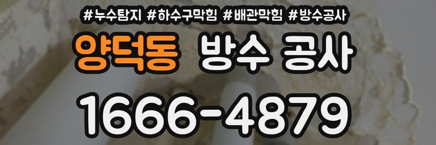 양덕동 방수 공사
