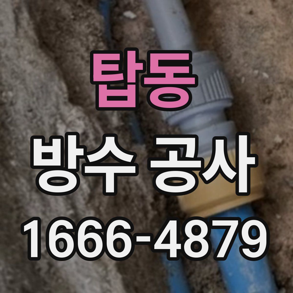 탑동 방수 공사