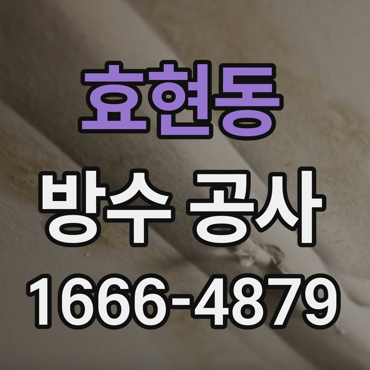 효현동 방수 공사